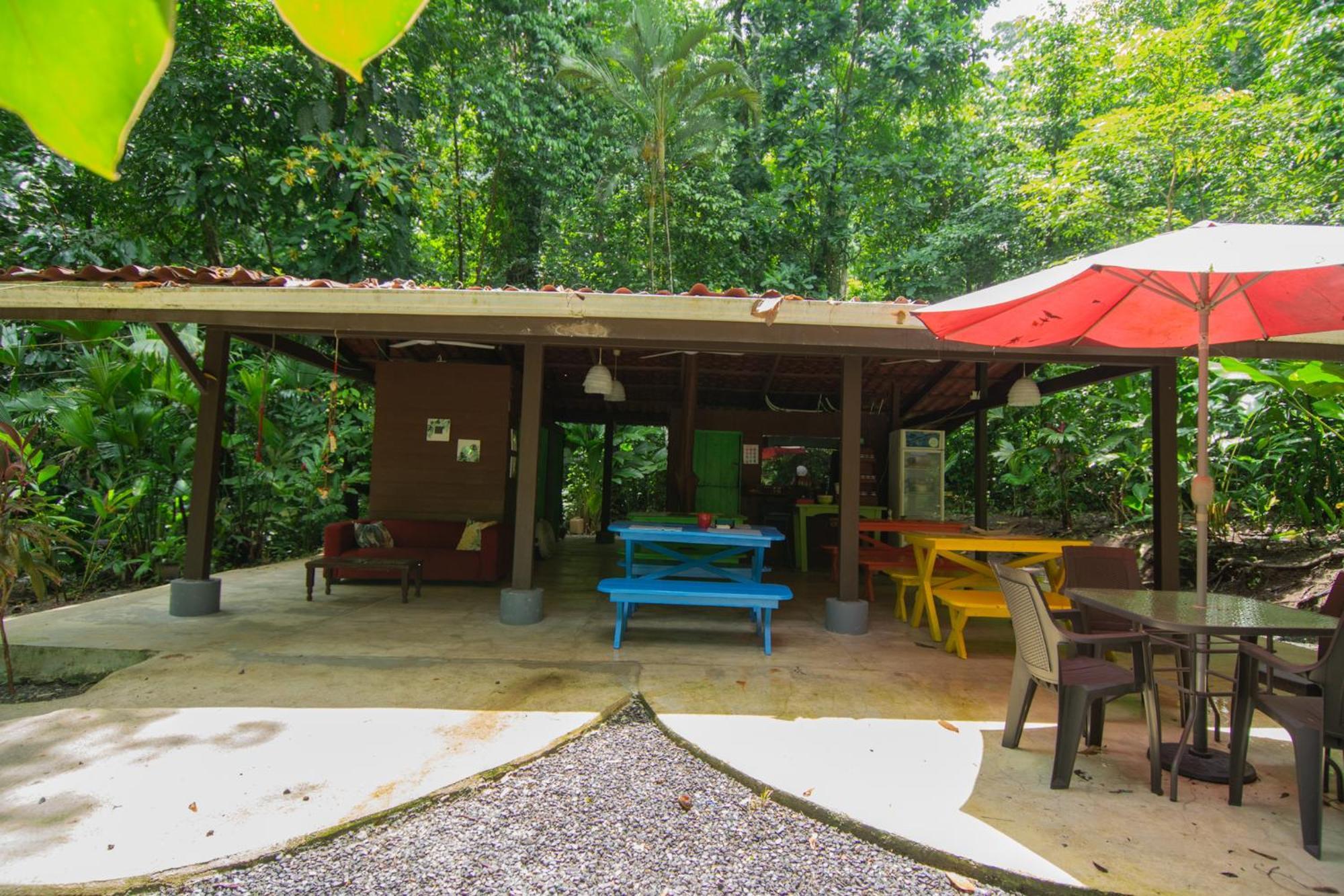 Selva Color - Forest & Beach Ecolodge Quebrada Ganado Luaran gambar