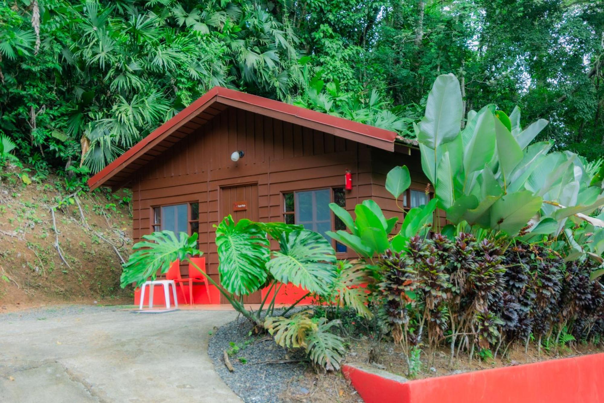 Selva Color - Forest & Beach Ecolodge Quebrada Ganado Luaran gambar