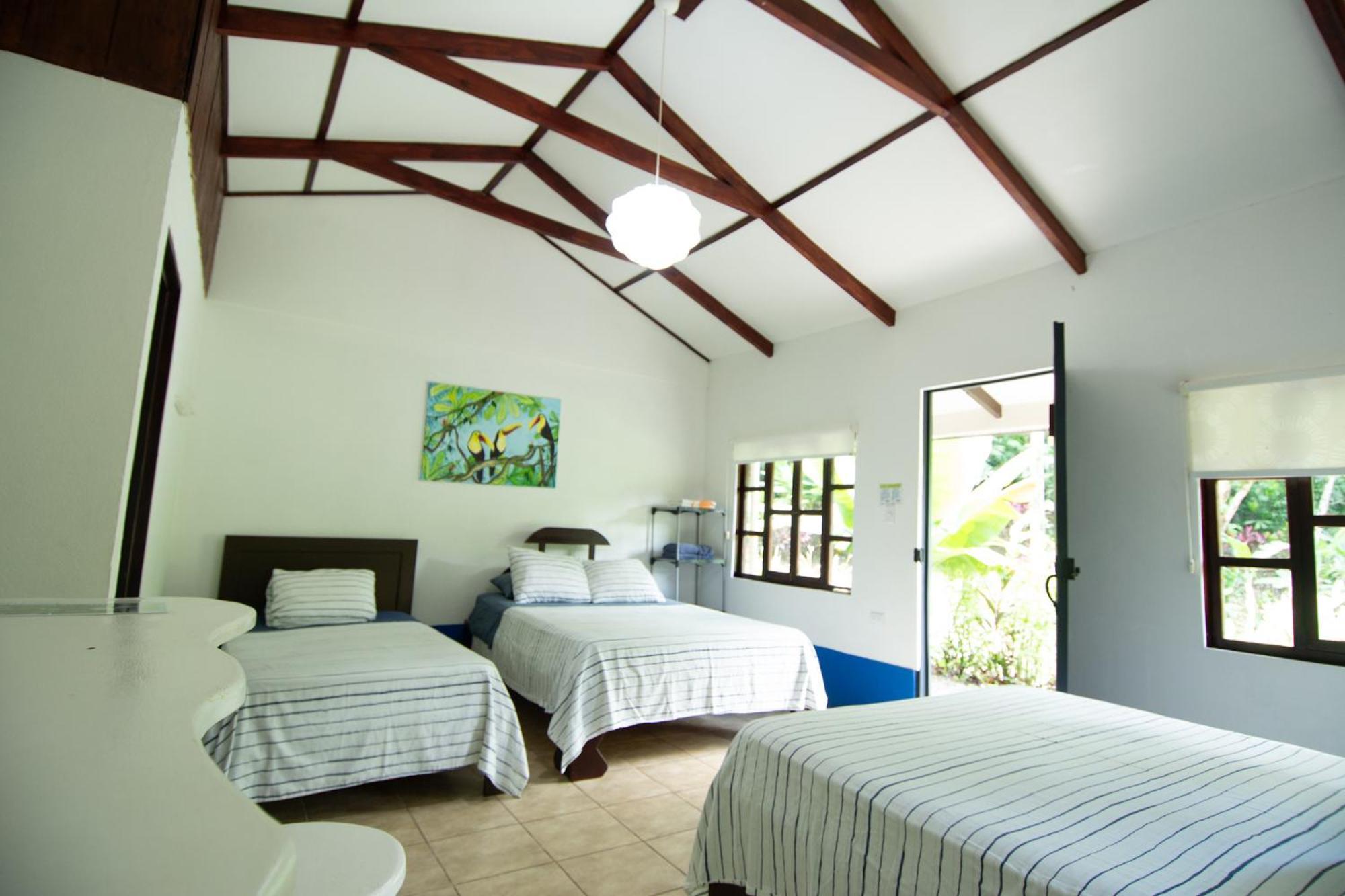 Selva Color - Forest & Beach Ecolodge Quebrada Ganado Bilik gambar