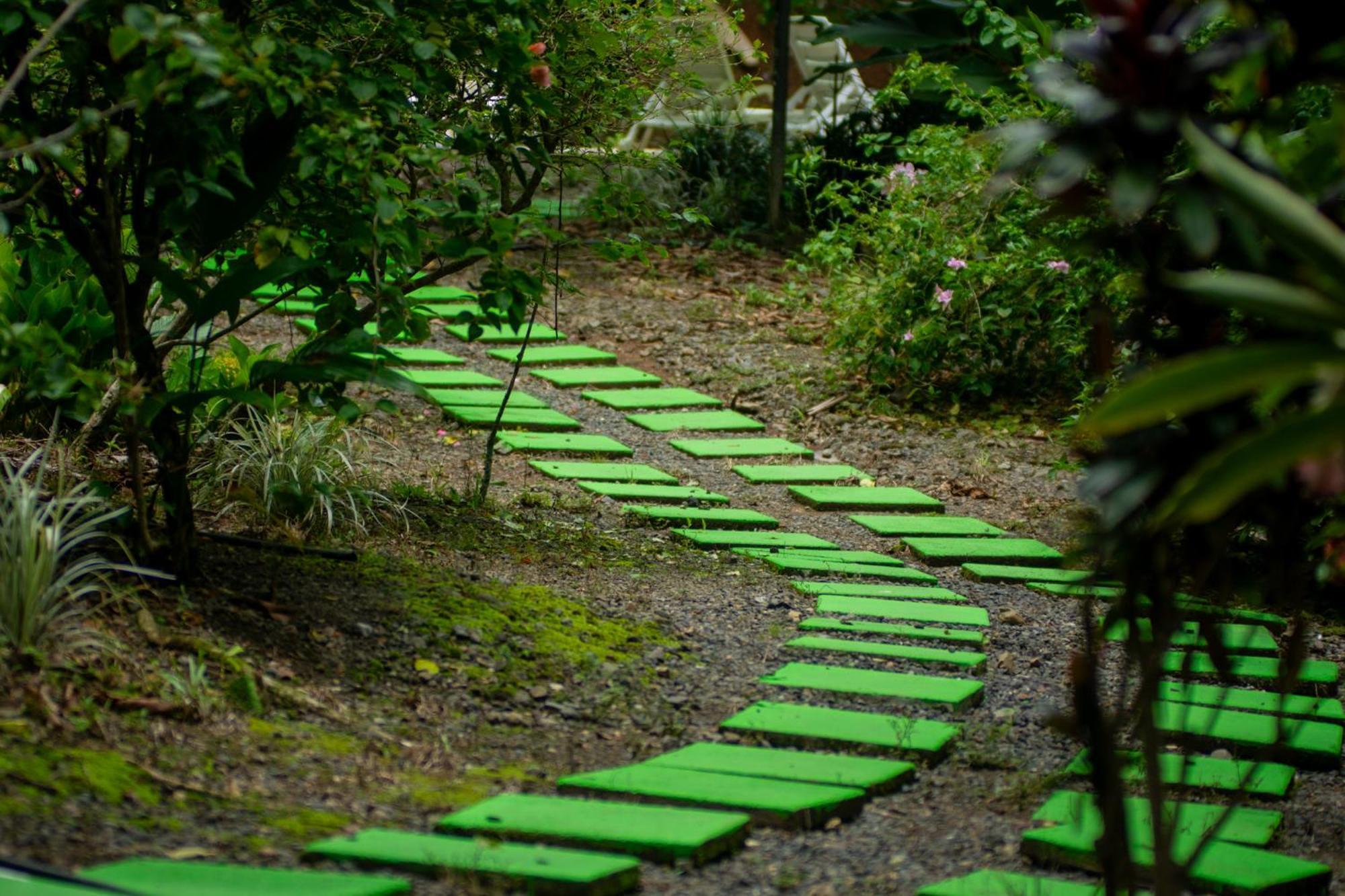 Selva Color - Forest & Beach Ecolodge Quebrada Ganado Luaran gambar
