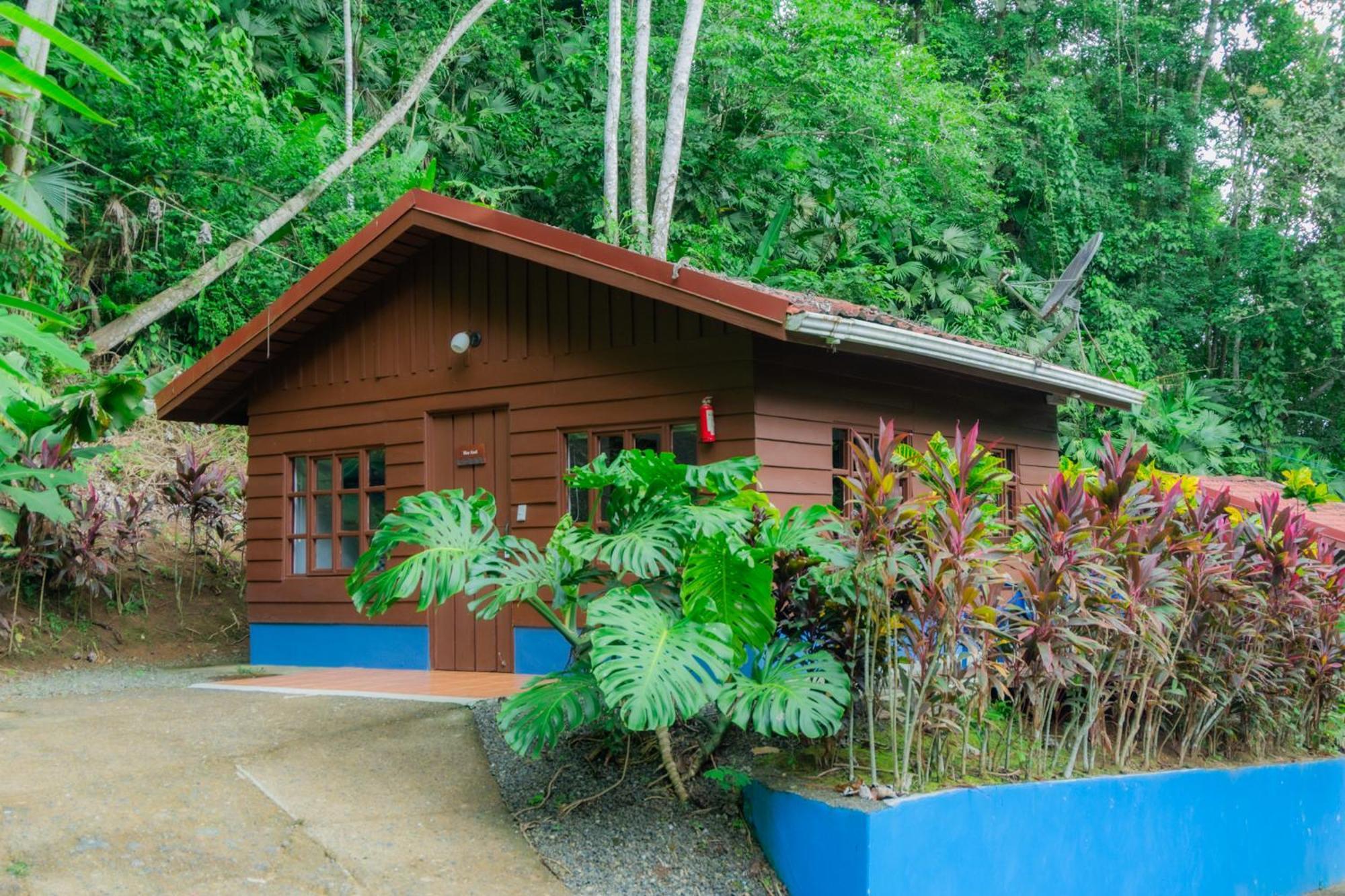 Selva Color - Forest & Beach Ecolodge Quebrada Ganado Luaran gambar