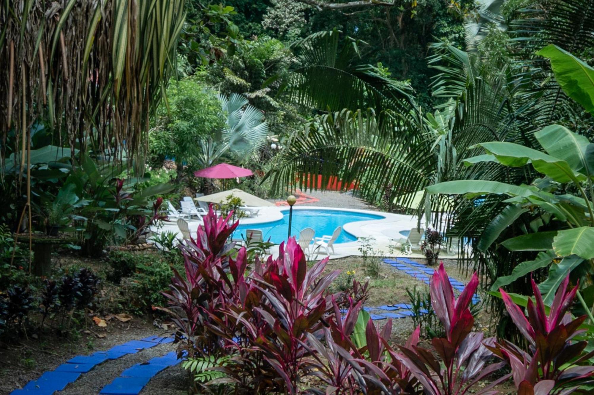 Selva Color - Forest & Beach Ecolodge Quebrada Ganado Luaran gambar