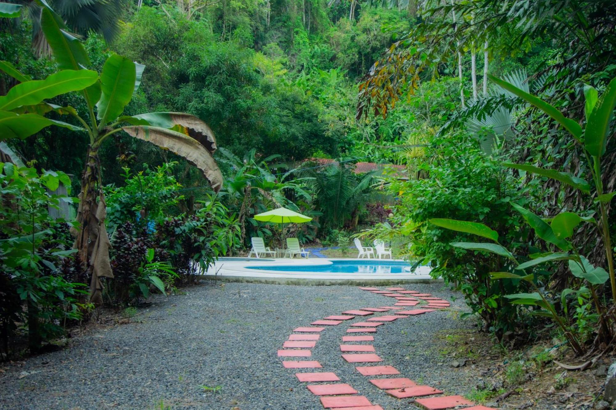 Selva Color - Forest & Beach Ecolodge Quebrada Ganado Luaran gambar