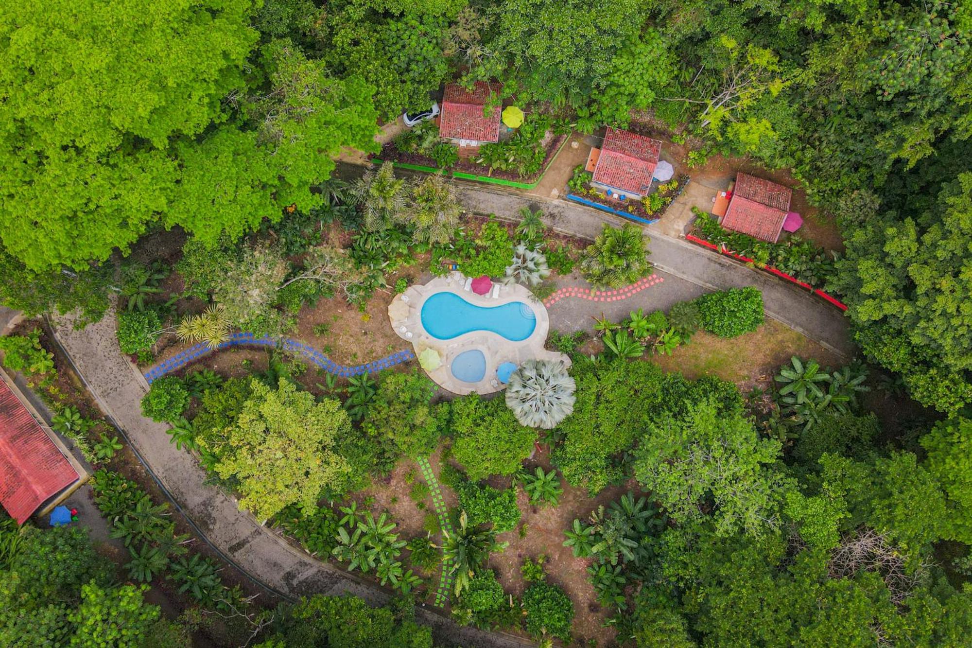 Selva Color - Forest & Beach Ecolodge Quebrada Ganado Luaran gambar