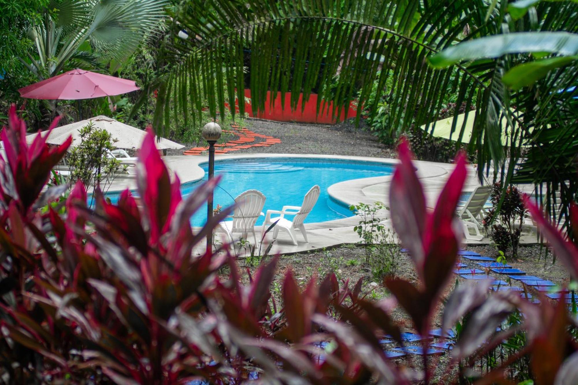 Selva Color - Forest & Beach Ecolodge Quebrada Ganado Luaran gambar