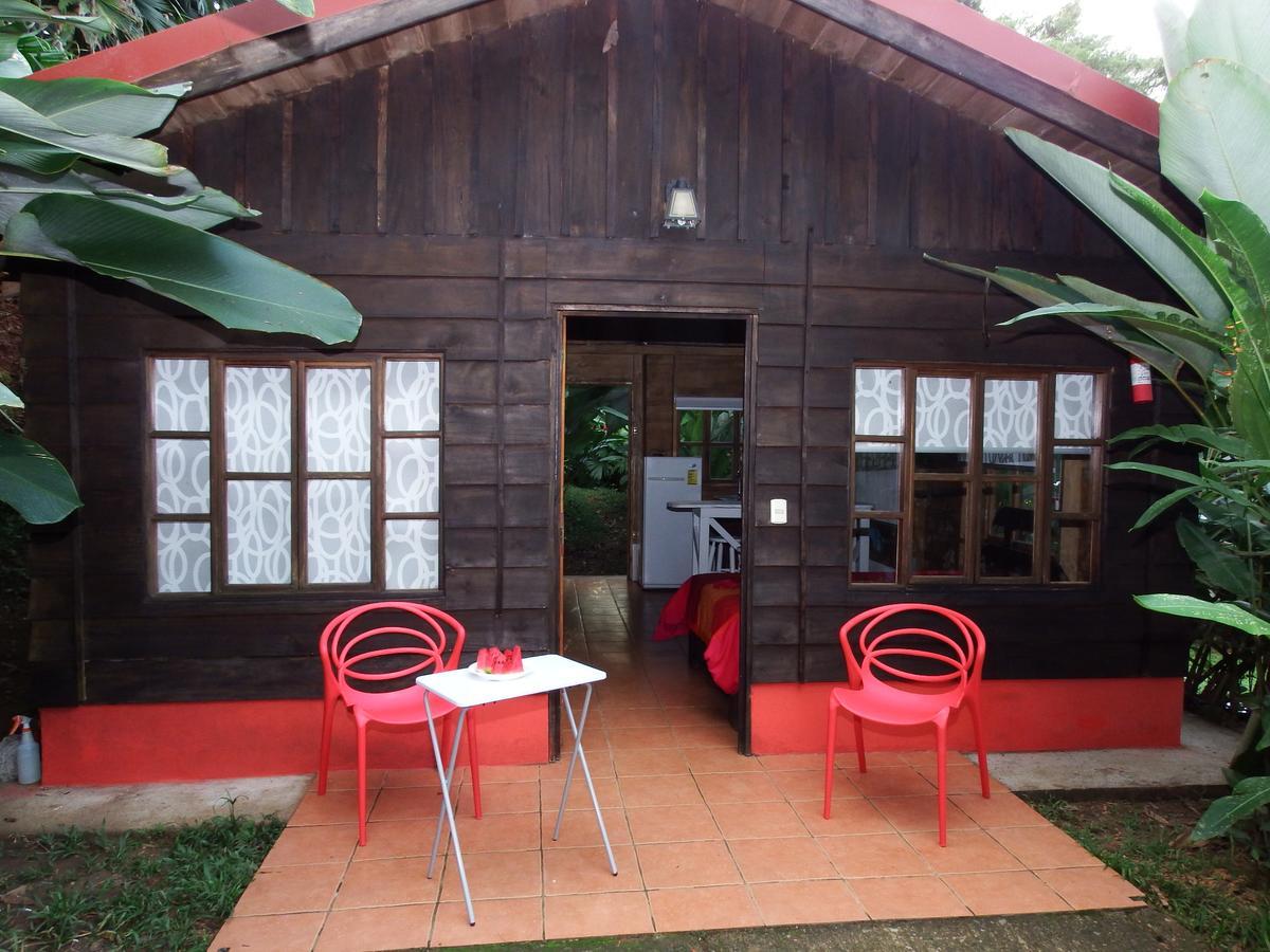 Selva Color - Forest & Beach Ecolodge Quebrada Ganado Luaran gambar