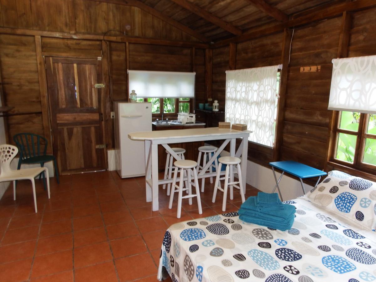Selva Color - Forest & Beach Ecolodge Quebrada Ganado Luaran gambar