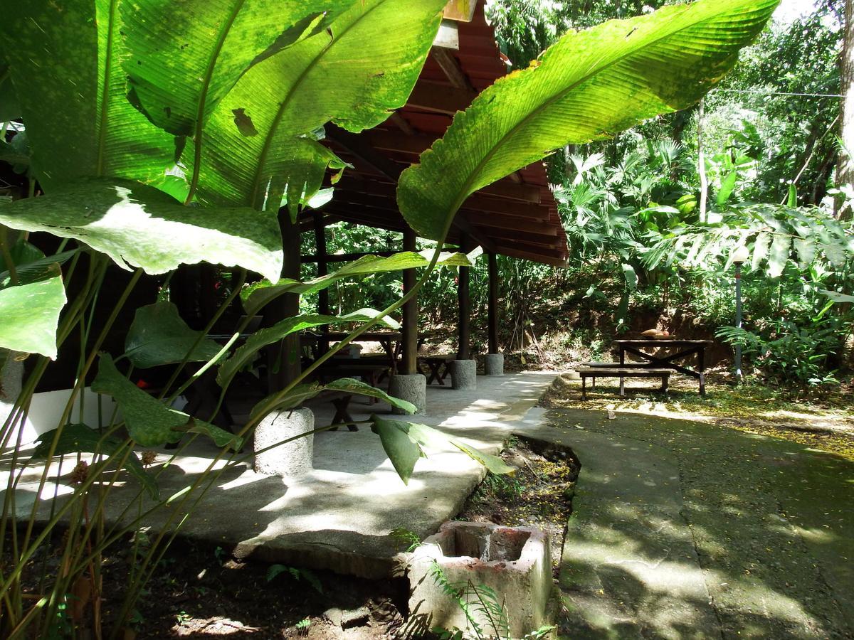 Selva Color - Forest & Beach Ecolodge Quebrada Ganado Luaran gambar