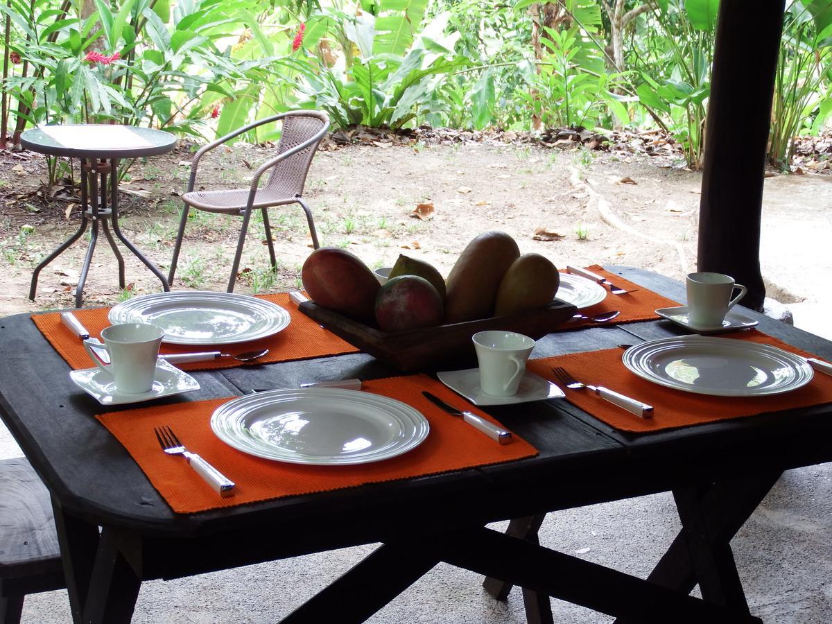 Selva Color - Forest & Beach Ecolodge Quebrada Ganado Luaran gambar