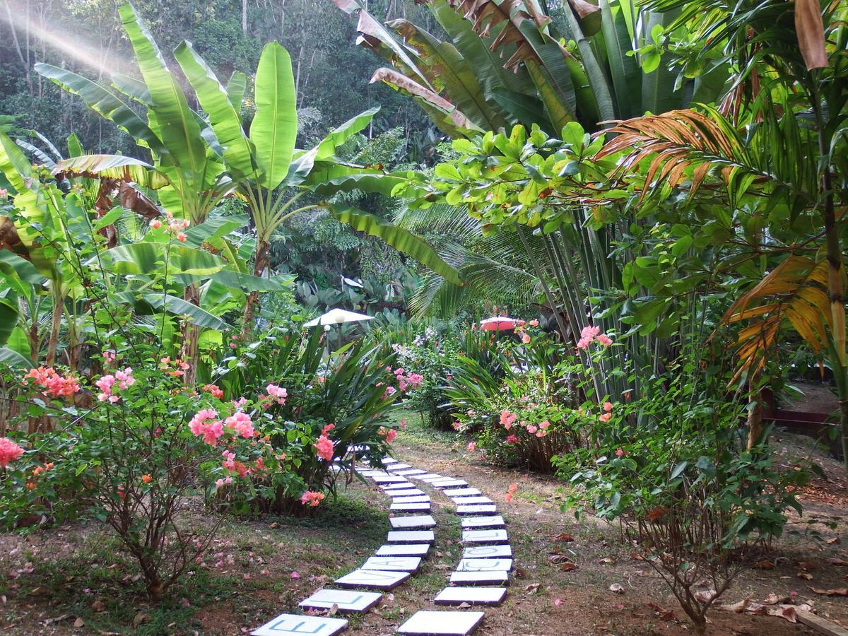 Selva Color - Forest & Beach Ecolodge Quebrada Ganado Luaran gambar