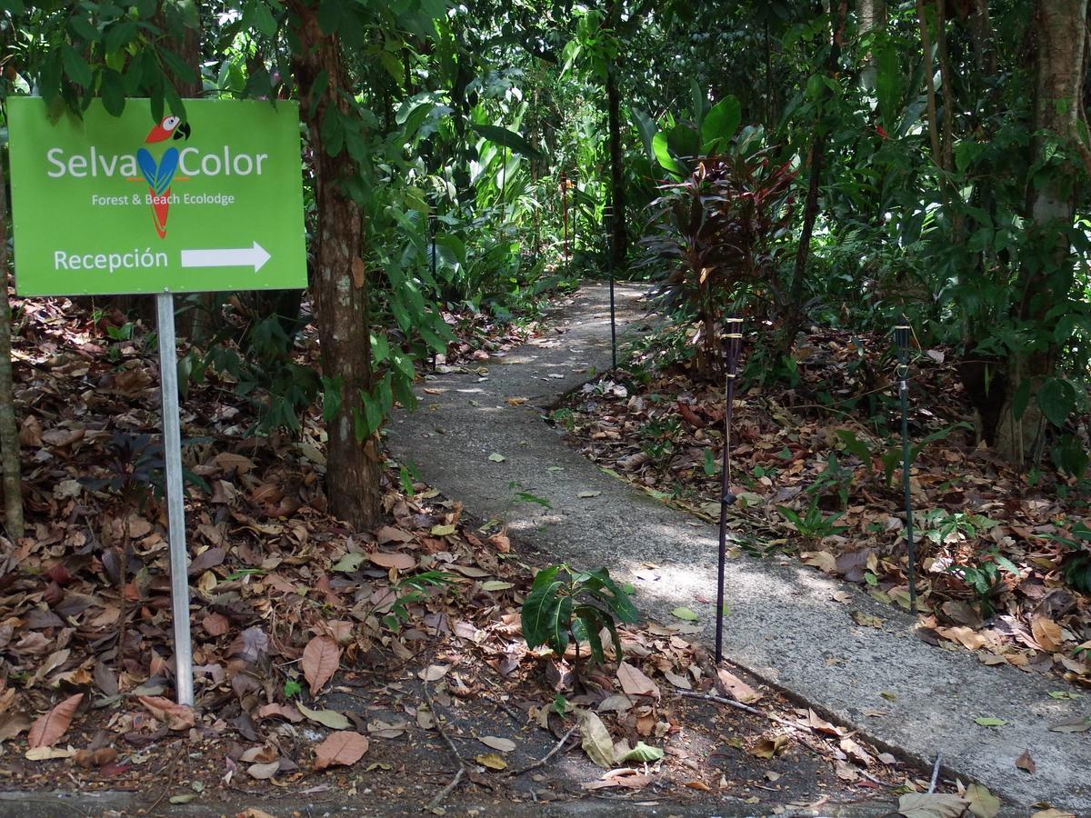 Selva Color - Forest & Beach Ecolodge Quebrada Ganado Luaran gambar
