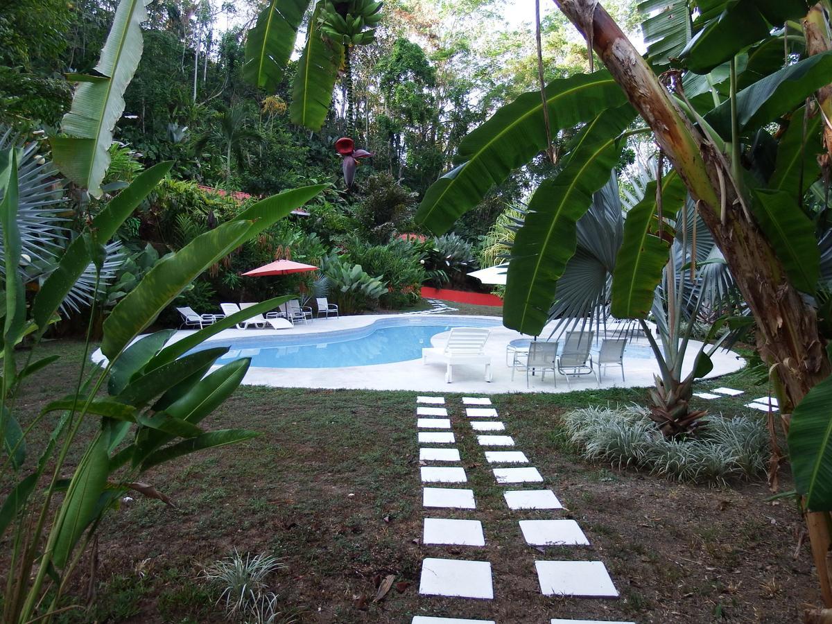 Selva Color - Forest & Beach Ecolodge Quebrada Ganado Luaran gambar
