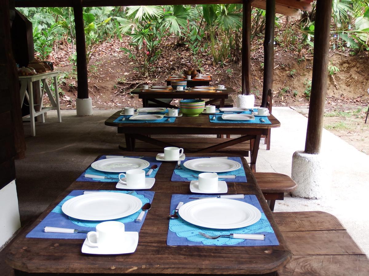 Selva Color - Forest & Beach Ecolodge Quebrada Ganado Luaran gambar